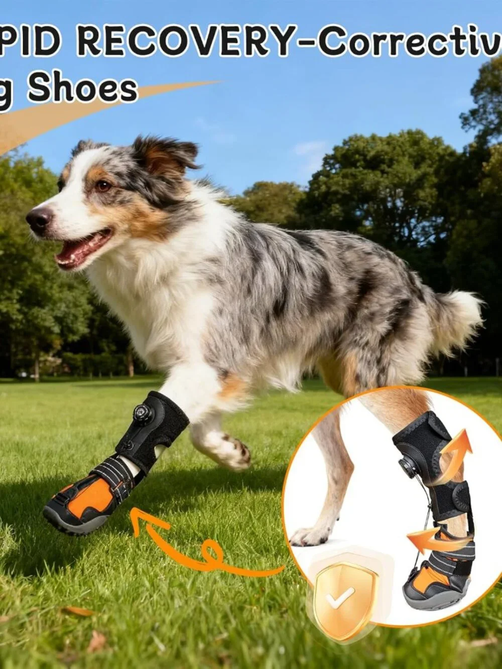 No Knuckling Brace for Dogs